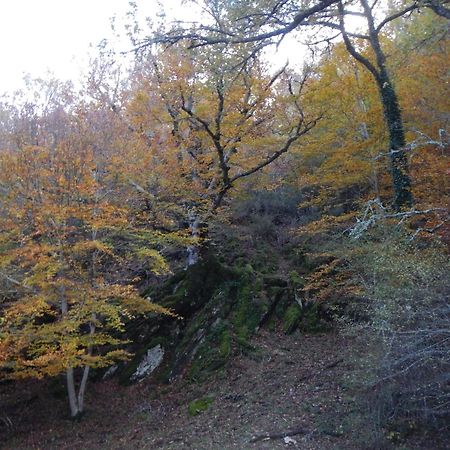 Alojamiento Rural Fuente Del Arca Pradena del Rincon Bagian luar foto