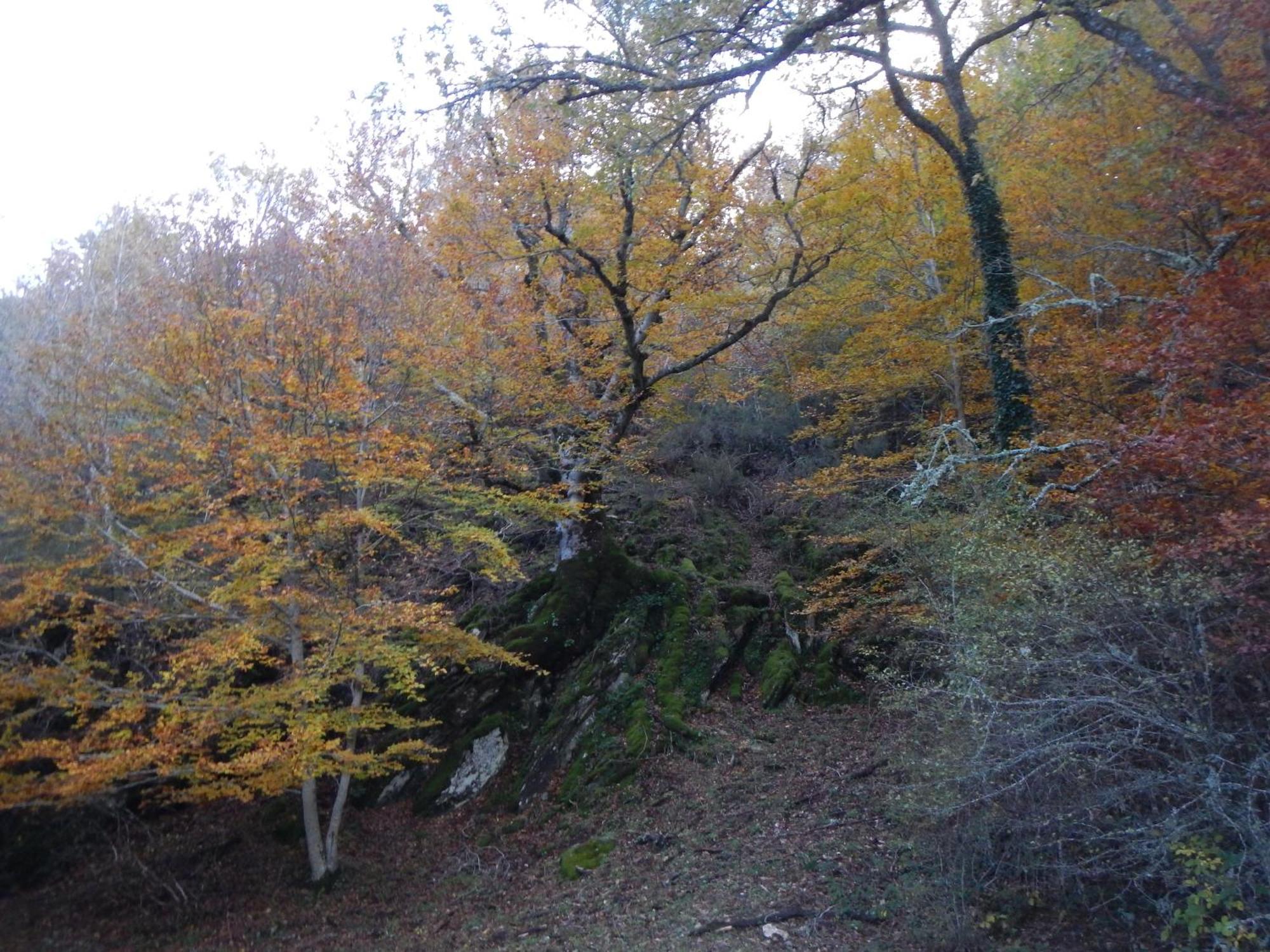 Alojamiento Rural Fuente Del Arca Pradena del Rincon Bagian luar foto