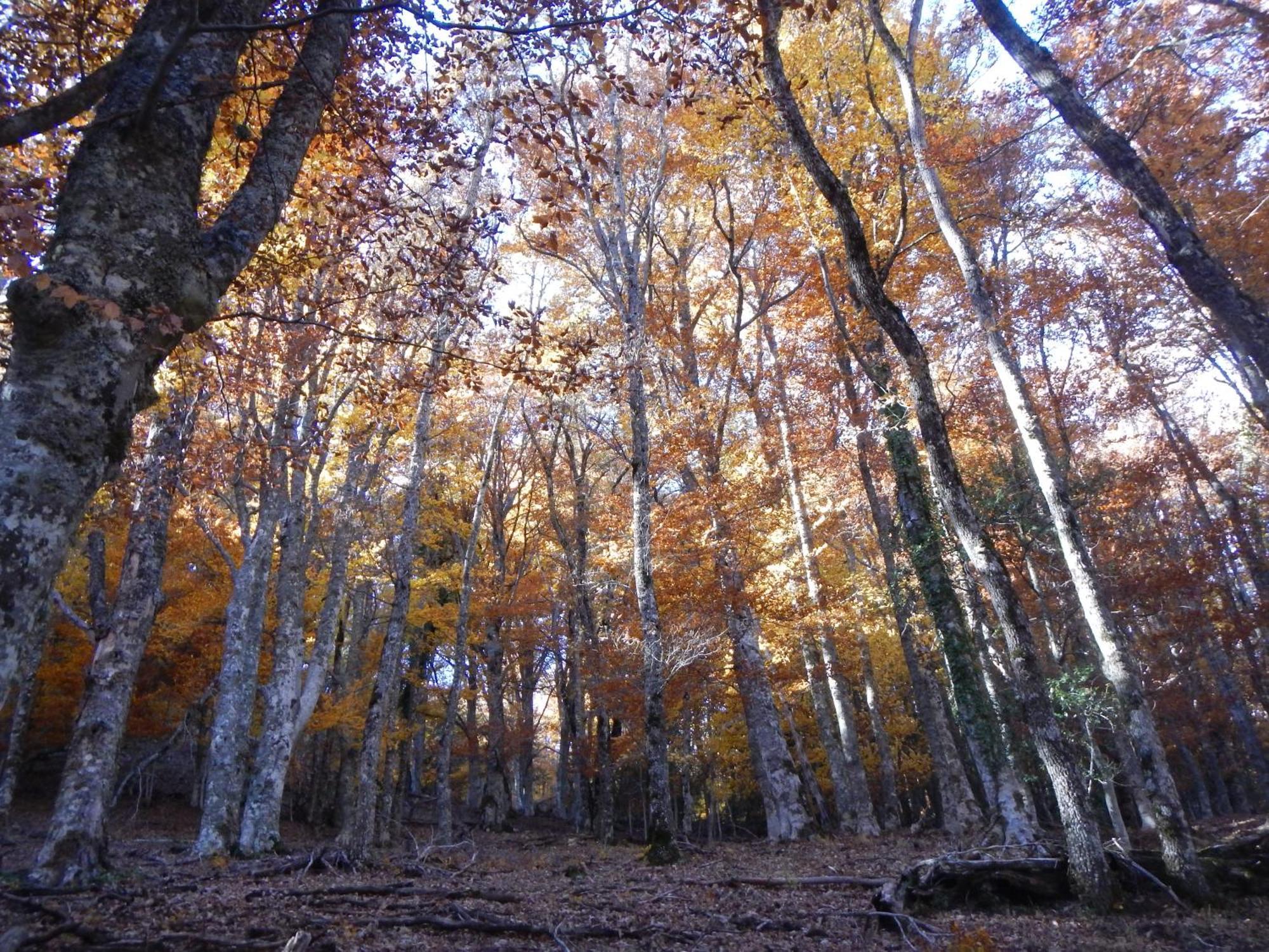 Alojamiento Rural Fuente Del Arca Pradena del Rincon Bagian luar foto