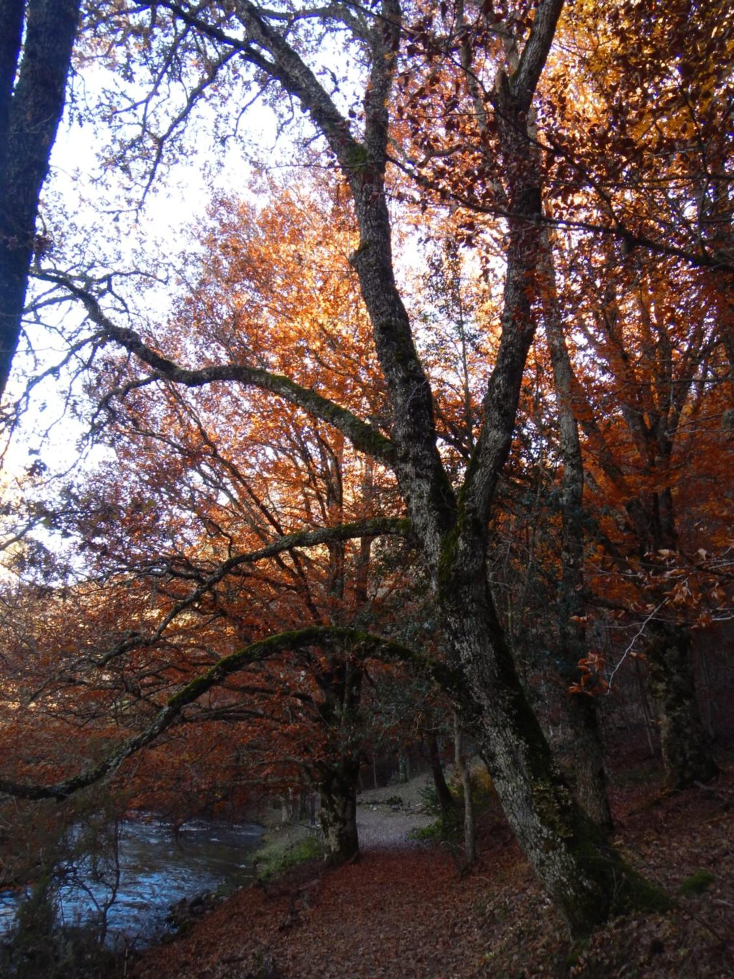 Alojamiento Rural Fuente Del Arca Pradena del Rincon Bagian luar foto